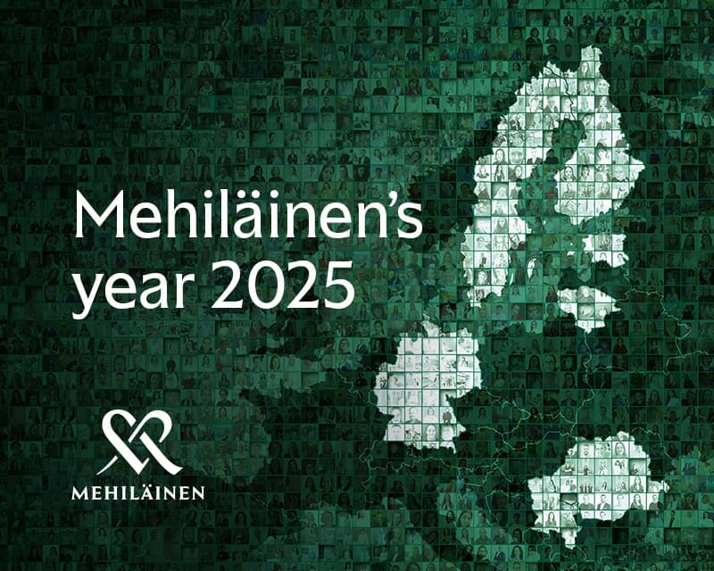 Mehiläinens illustration av årsredovisningen 2025.